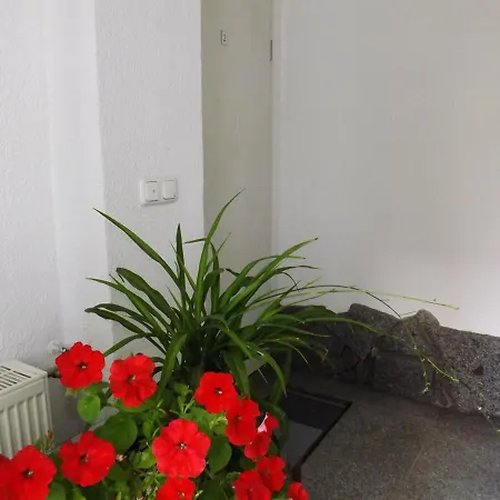 Apartment City-ferienwohnung-bautzen *